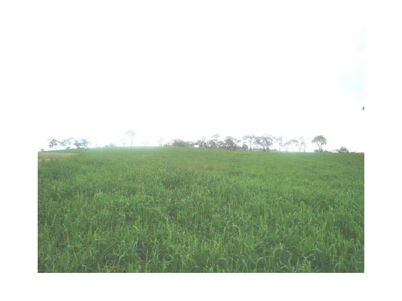 Lot 18 Portland Road, Cullen Bullen NSW 2790