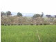 Lot 18 Portland Road, Cullen Bullen NSW 2790