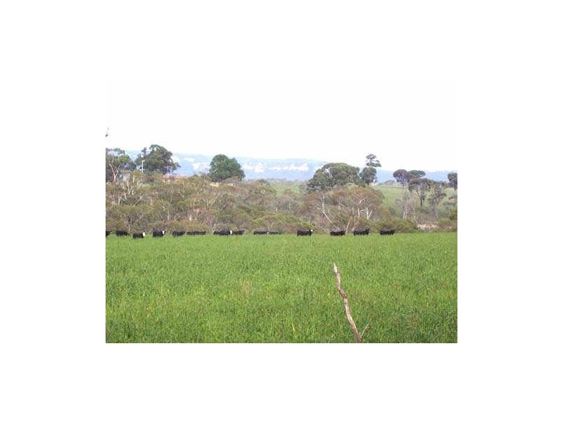 Lot 18 Portland Road, Cullen Bullen NSW 2790