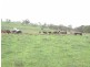 Lot 18 Portland Road, Cullen Bullen NSW 2790