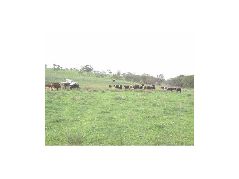 Lot 18 Portland Road, Cullen Bullen NSW 2790