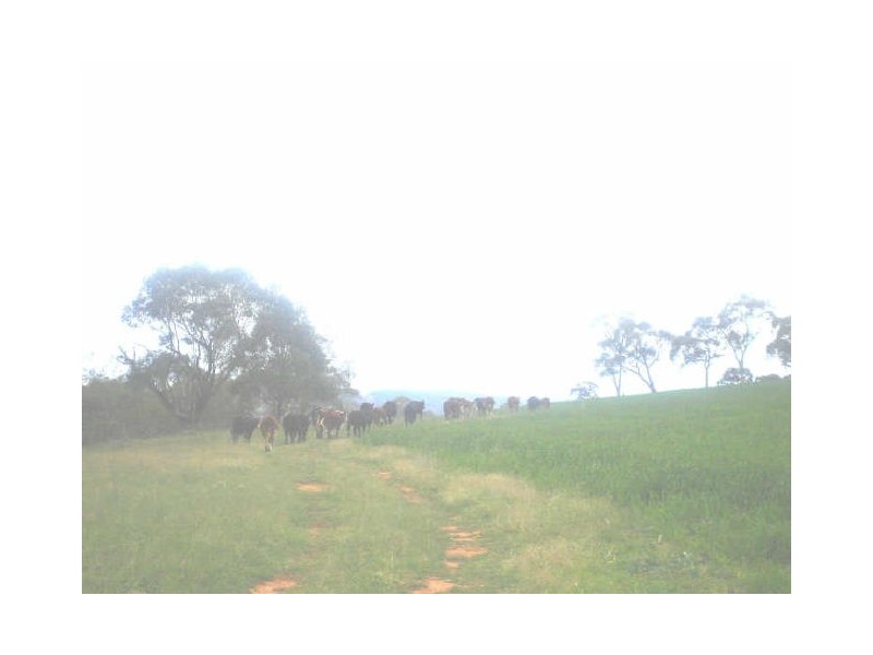 Lot 18 Portland Road, Cullen Bullen NSW 2790