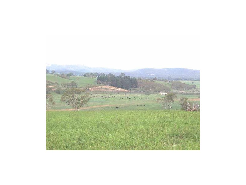 Lot 18 Portland Road, Cullen Bullen NSW 2790