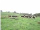 Lot 18 Portland Road, Cullen Bullen NSW 2790