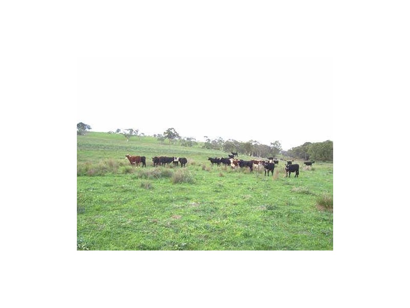 Lot 18 Portland Road, Cullen Bullen NSW 2790