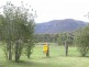 Lots 1-6 Fryer Street, Hartley Vale NSW 2790