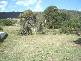 Lot 38 Chivers Close, Lithgow NSW 2790