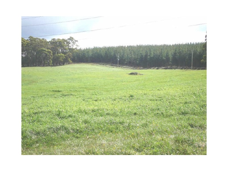 1 McManus Road, Meadow Flat NSW 2795