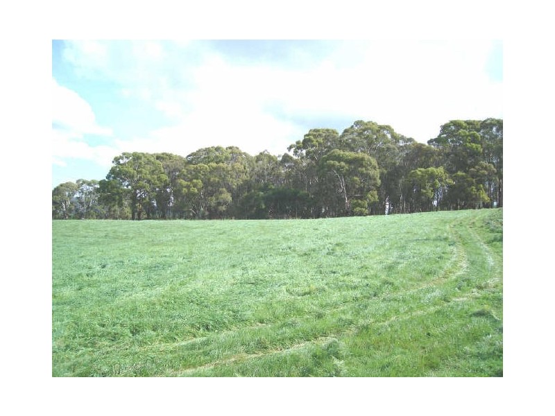 1 McManus Road, Meadow Flat NSW 2795