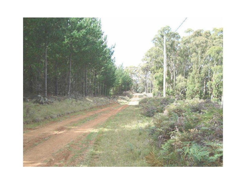 1 McManus Road, Meadow Flat NSW 2795