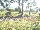 Lot 216 Thornton Avenue, Bowenfels NSW 2790