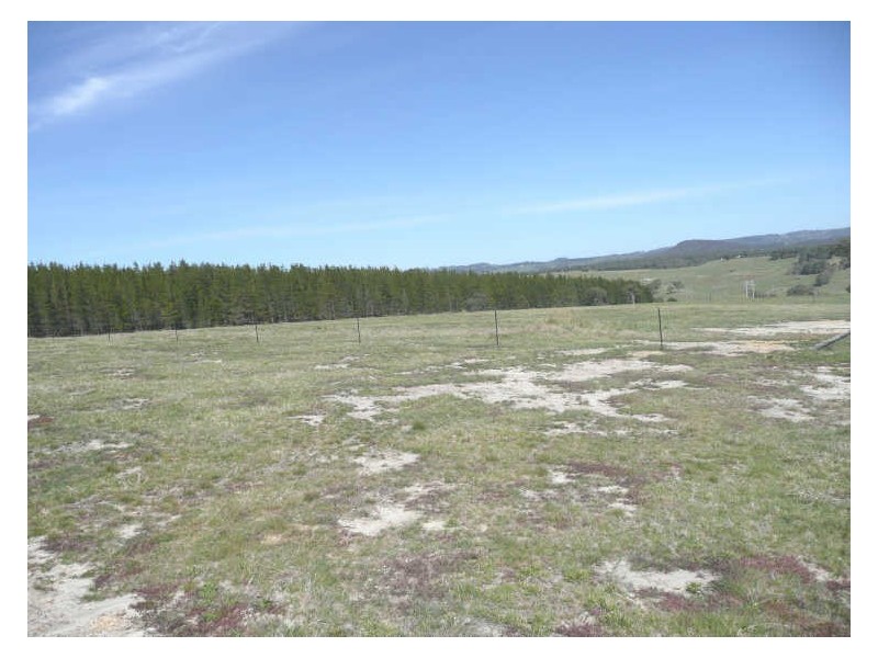 Lot 11 West Ridge Estate, Wallerawang NSW 2845