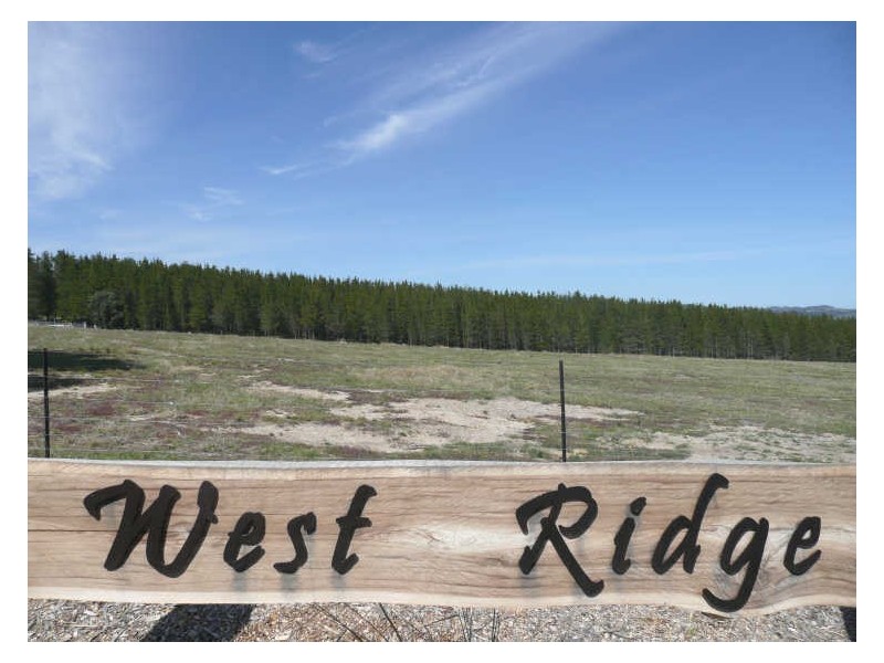 Lot 11 West Ridge Estate, Wallerawang NSW 2845