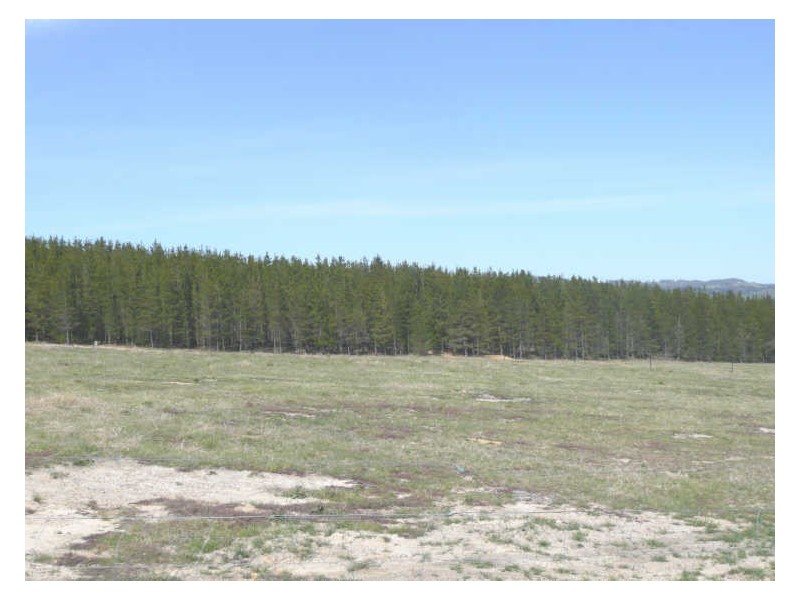 Lot 11 West Ridge Estate, Wallerawang NSW 2845