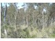 Lot 80 Donald Road, Clarence NSW 2790