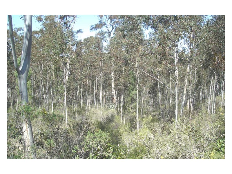 Lot 80 Donald Road, Clarence NSW 2790