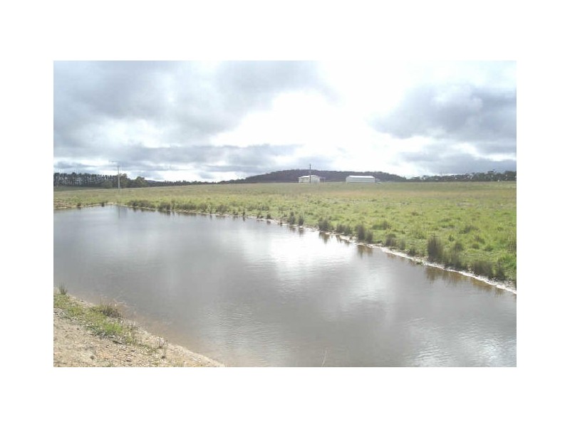 2968 Castlereagh Highway, Ben Bullen NSW 2790