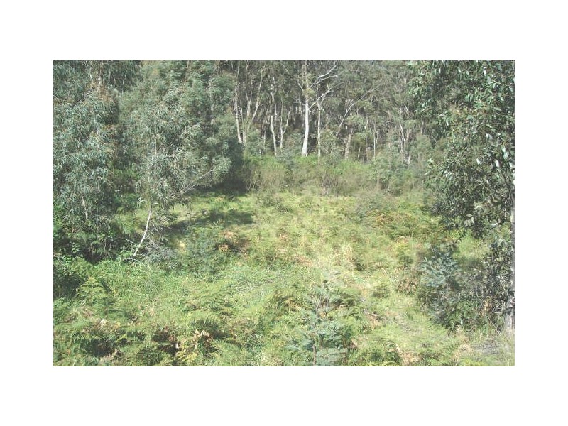 Lot 94 Bursaria Place, Lithgow NSW 2790