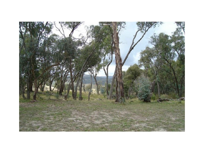 45 Wildwood Road, Meadow Flat NSW 2795