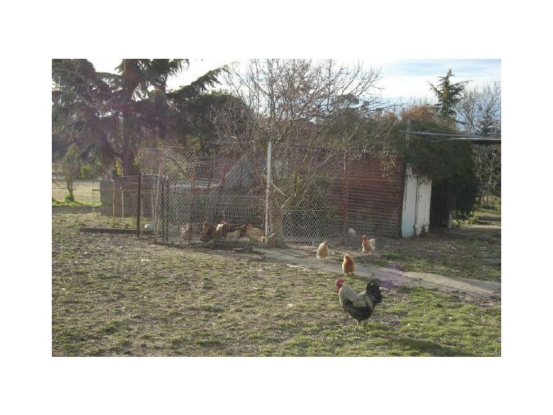 Lot A Gemalong Close, Marrangaroo NSW 2790