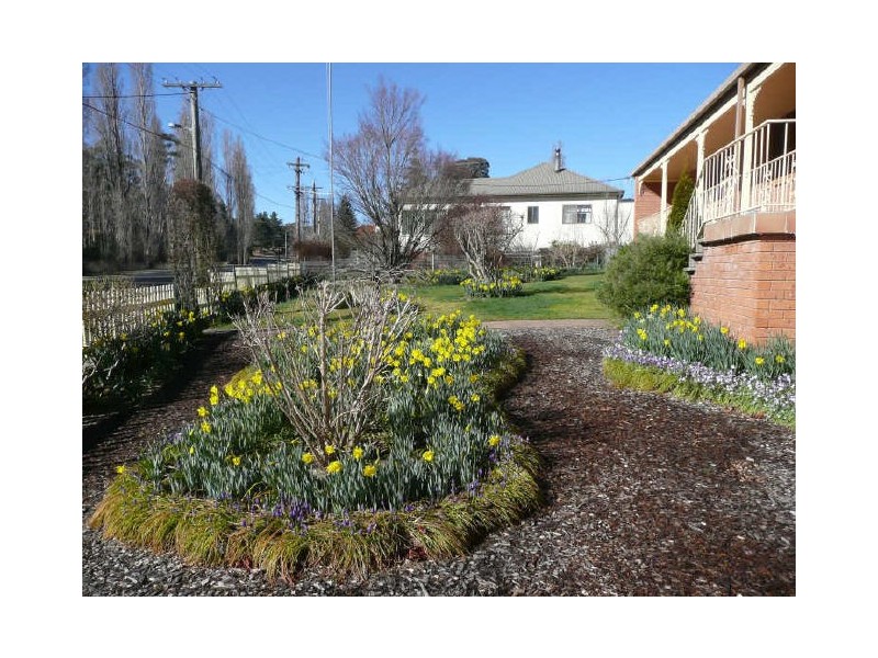 40 Wallerawang Road, Portland NSW 2847