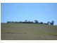 360 Sunny Corner Road, Portland NSW 2847
