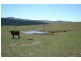 360 Sunny Corner Road, Portland NSW 2847