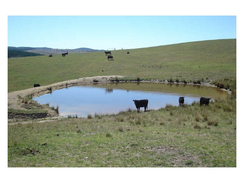 360 Sunny Corner Road, Portland NSW 2847