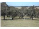 360 Sunny Corner Road, Portland NSW 2847