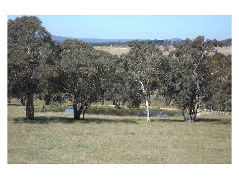 360 Sunny Corner Road, Portland NSW 2847