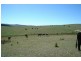 360 Sunny Corner Road, Portland NSW 2847