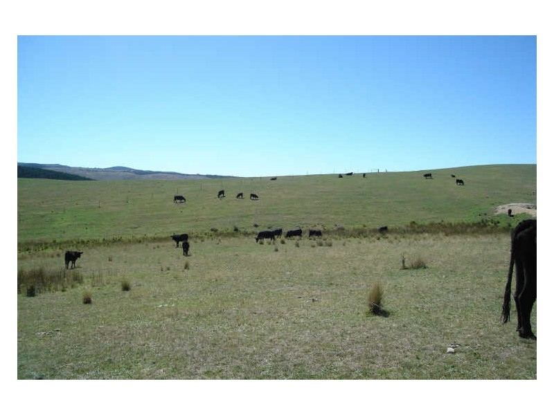 360 Sunny Corner Road, Portland NSW 2847