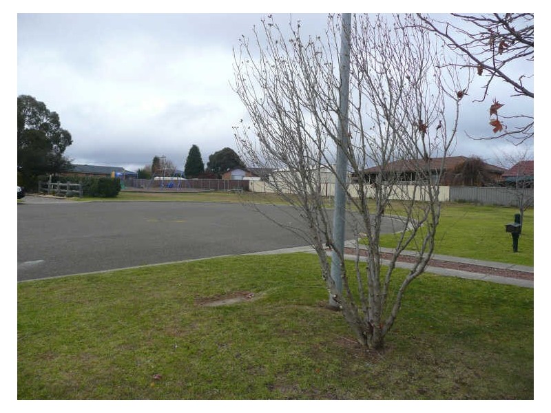 4 Tarrone Place, Wallerawang NSW 2845