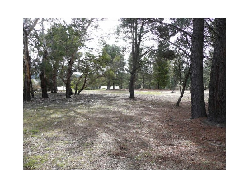 Lot 200 Skelly Road, Lidsdale NSW 2790