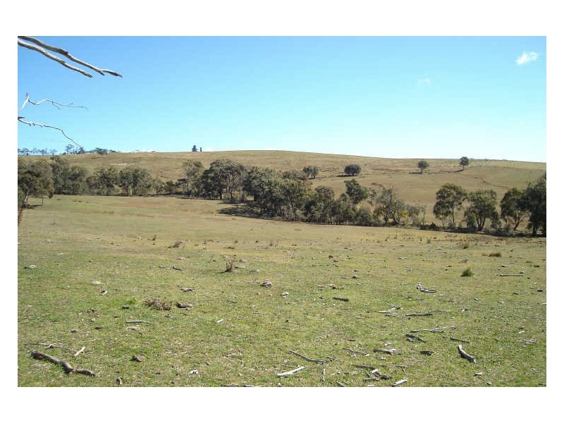 Lot 4 Thompsons Creek Road, Pipers Flat NSW 2847