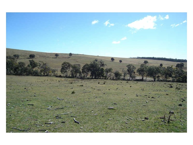 Lot 4 Thompsons Creek Road, Pipers Flat NSW 2847