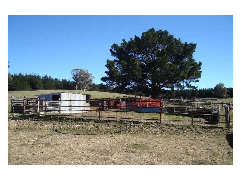 174 Range Road, Meadow Flat NSW 2795