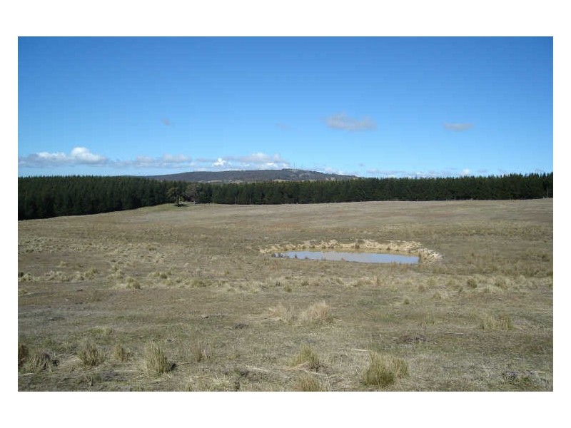 174 Range Road, Meadow Flat NSW 2795