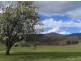 Willowvale/Lot 3 Portland Road, Wallerawang NSW 2845