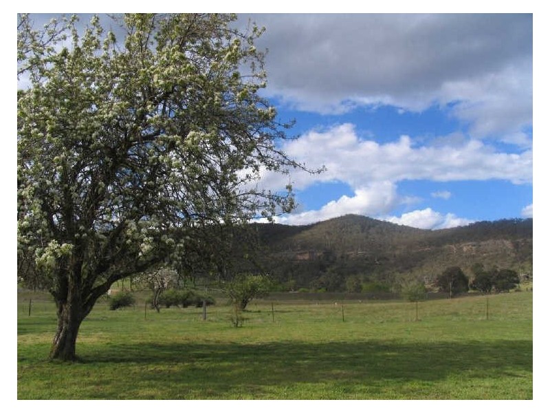 Willowvale/Lot 3 Portland Road, Wallerawang NSW 2845