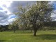 Willowvale/Lot 3 Portland Road, Wallerawang NSW 2845