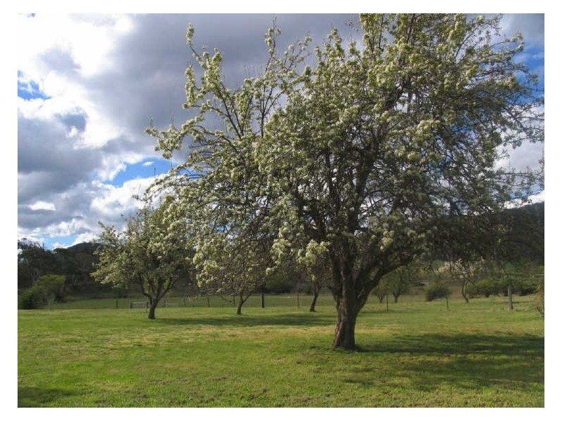 Willowvale/Lot 3 Portland Road, Wallerawang NSW 2845