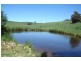 1466 Sunny Corner Road, Meadow Flat NSW 2795