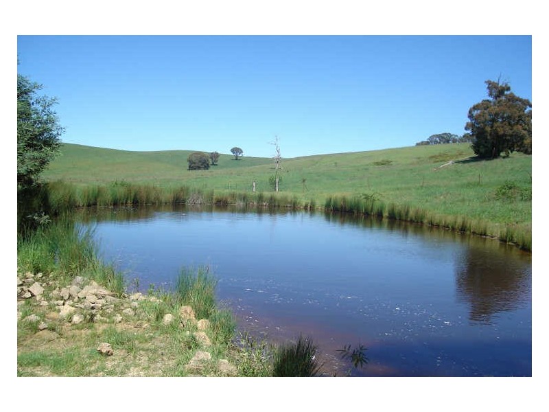 1466 Sunny Corner Road, Meadow Flat NSW 2795