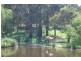 1466 Sunny Corner Road, Meadow Flat NSW 2795
