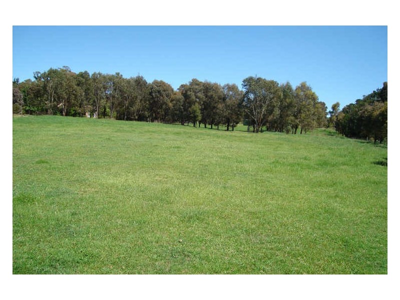 1466 Sunny Corner Road, Meadow Flat NSW 2795