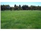 1466 Sunny Corner Road, Meadow Flat NSW 2795