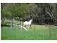 1466 Sunny Corner Road, Meadow Flat NSW 2795