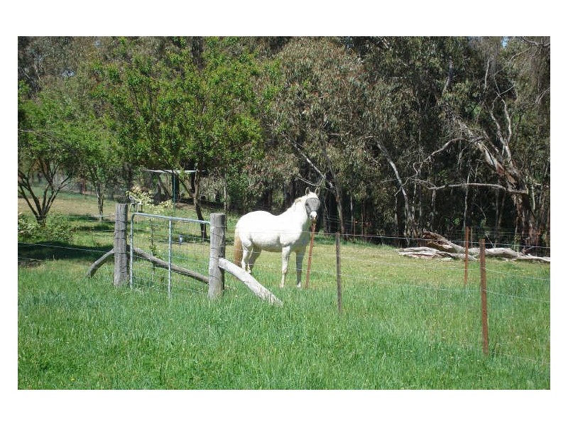 1466 Sunny Corner Road, Meadow Flat NSW 2795
