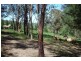 1466 Sunny Corner Road, Meadow Flat NSW 2795